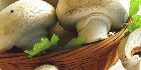 Kako sušiti šampinjone kod kuće (7 popularnih načina)